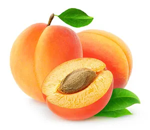 apricot-oil