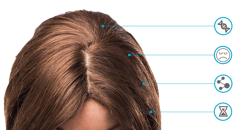 Shyuk Foligain Range Info Female