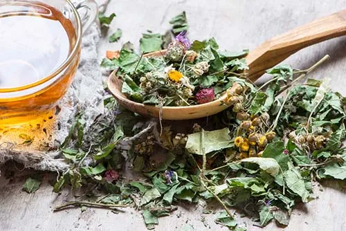 cup of herbal tea with a spoon of herbs cup of herbal tea with a spoon of herbs