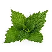 peppermint oil