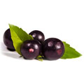 Açai
