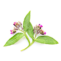dehnungsstreifen cremes mit Allantoin