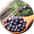 Wacholderbeeren