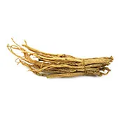 Amerikanischer Ginseng