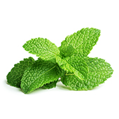 Menthol