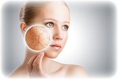 Makari™ Day Treatment Cream