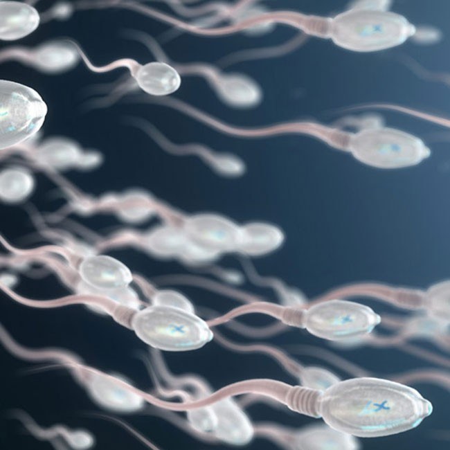 Spermavolumen - Einfache Tipps zur Vergrößerung | ShytoBuy