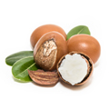 Sheabutter