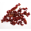 Carrageenan