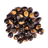 Guarana-Samen
