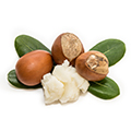 Sheabutter